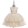 Lace Embroidery Mesh Children's Dress Princess Dress