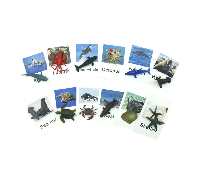 Montessori - Aids-Animal Model Card Matching Identification