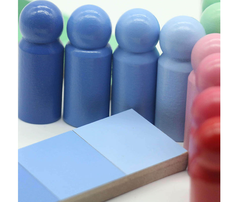 Montessori-Color Matching