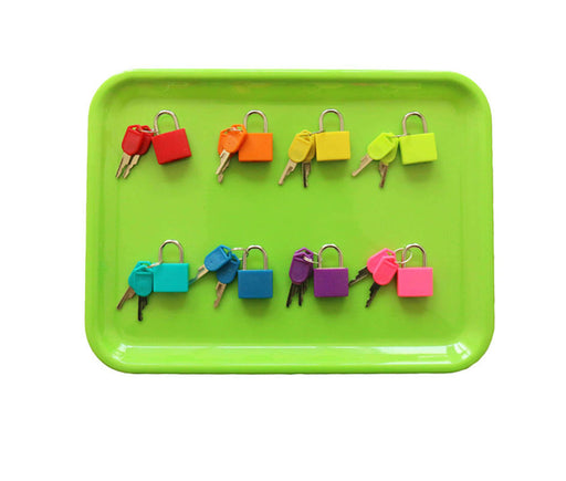 Montessori-10-Color Learning Unlocking Toy